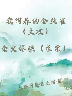 我饲养的金丝雀（主攻）