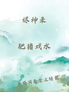 烬神录
