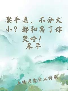 娶平妻，不分大小？都和离了你哭啥！