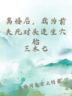 离婚后，我为前夫死对头连生六胎